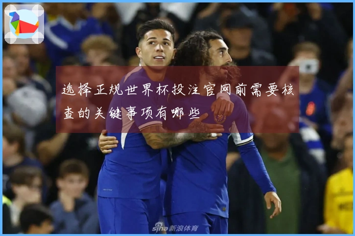选择正规世界杯投注官网前需要核查的关键事项有哪些
