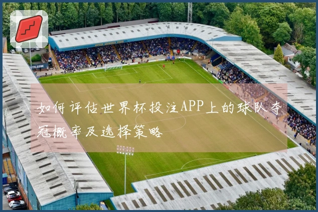 如何评估世界杯投注APP上的球队夺冠概率及选择策略