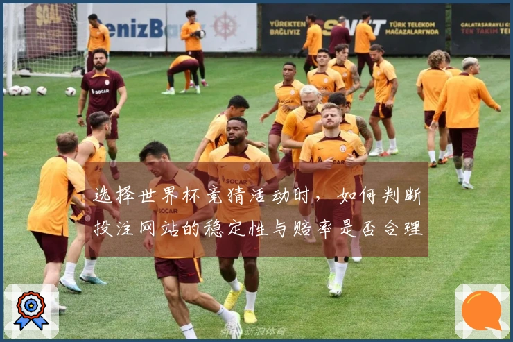 选择世界杯竞猜活动时，如何判断投注网站的稳定性与赔率是否合理