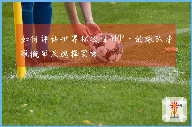 如何评估世界杯投注APP上的球队夺冠概率及选择策略