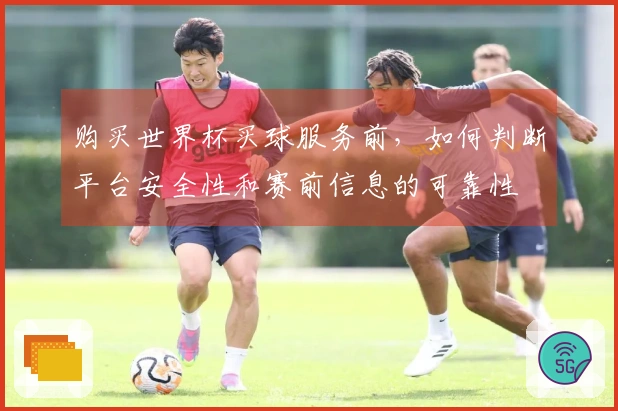 购买世界杯买球服务前，如何判断平台安全性和赛前信息的可靠性