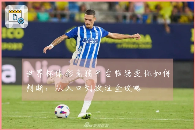 世界杯体彩竞猜平台临场变化如何判断，从入口到投注全攻略