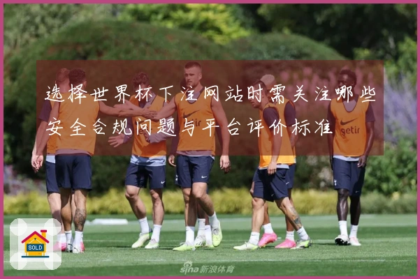 选择世界杯下注网站时需关注哪些安全合规问题与平台评价标准