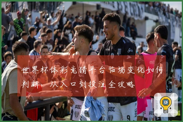 世界杯体彩竞猜平台临场变化如何判断，从入口到投注全攻略